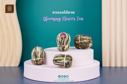 เซ็ทชาดอกไม้บาน - Blooming Flower Tea
