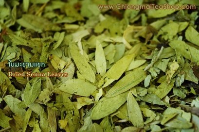 ใบมะขามแขก