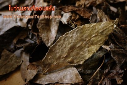 ว่านรางจืด อบแห้ง