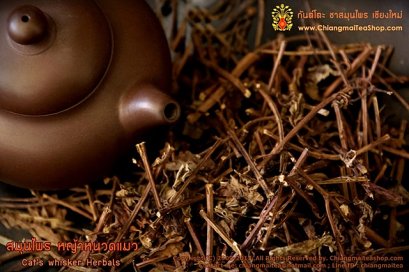 หญ้าหนวดแมว อบแห้ง