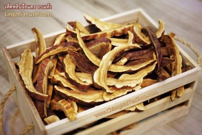 เห็ดหลินจือ อบแห้ง