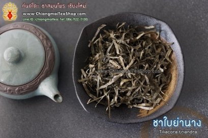 ใบย่านาง อบแห้ง