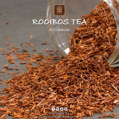 ชารอยบอส Rooibos Tea