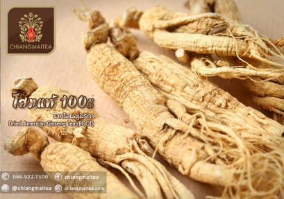 รากโสม 100% คัดคุณภาพพิเศษ