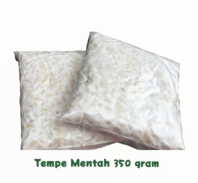 Tempe Mentah Fresh Homemade ,300 gram