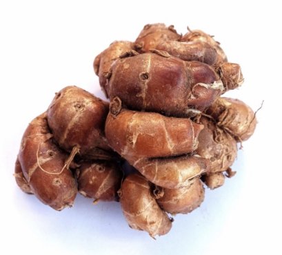 Kencur Segar / Galangal