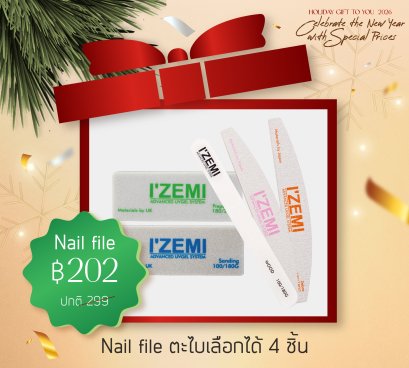 NewYearPromotion-file