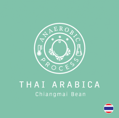 กาแฟดริป Thai Arabica - Anaerobic Process 10 g x 5 Bags
