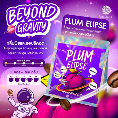 Beyond Gravity Special Coffee เมล็ดกาแฟอาราบิก้า กาแฟรสชาติพิเศษ Plum Elipse 100g