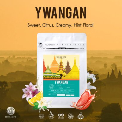 Ywangan Arabica Specialty Roasted  (เมล็ดกาแฟคั่วหยุนง่าน จากประเทศพม่า) 200g.