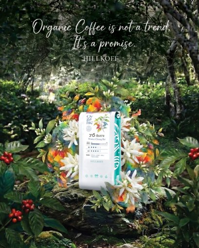 Organic Wawee Arabica coffee Chiang Rai เมล็ดกาแฟคั่วอราบิก้า 100% ดอยวาวี จ.เชียงราย Single Origin ขนาด 250 g