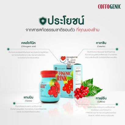 Hillkoff : Coffogenic Drink ผลิตภัณฑ์เสริมอาหาร