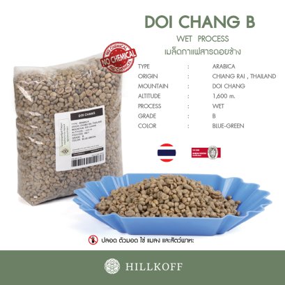 เมล็ดกาแฟสาร Doi Chang พร้อมคั่วทันที (ดอยช้าง) Arabica Grade B, คัดมือพิเศษ : 1 Kg.