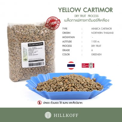 เมล็ดกาแฟสาร Yellow Cartimor พร้อมคั่วทันที (คาติมอร์สีเหลือง) Arabica Grade A, คัดมือพิเศษ : 1 Kg.