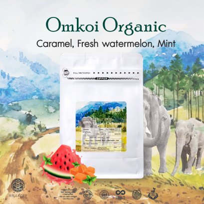 Omkoi Organic Coffee เมล็ดกาแฟคั่วสเปเชียลตี้ อราบิก้า จากอมก๋อย