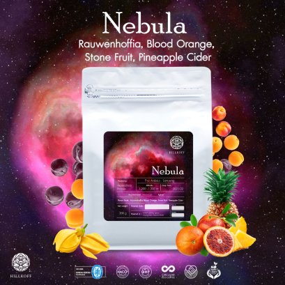 Nebula Arabica Specialty Roasted (Medium Light) เมล็ดกาแฟคั่วอราบิก้าสเปเชียลตี้ เนบิวลา