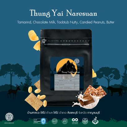 Hillkoff : COFFEE SPECIALTY "Thung Yai  Naresuan" / สเปเชียลตี้ คอฟฟี่ ทุ่งใหญ่นเรศวร