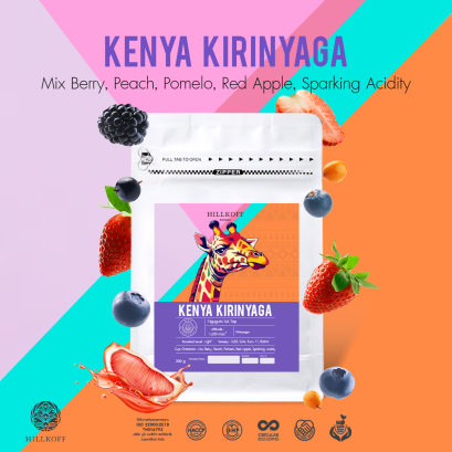 Hillkoff : Kenya Kirinyaga กาแฟสเปเชียลตี้นำเข้า จากประเทศเคนย่า 200g