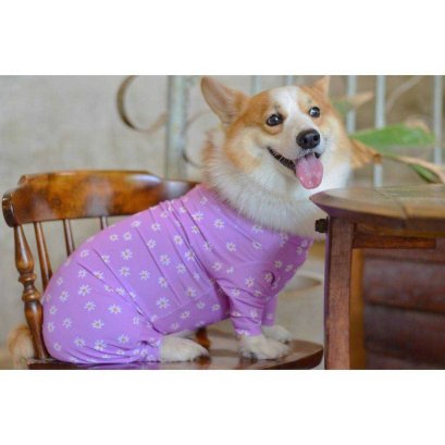 Daddy Dog แดดดี้ ด็อก ชุดกันขนร่วง สำหรับสุนัข ลายดอกเดซี่ Size L