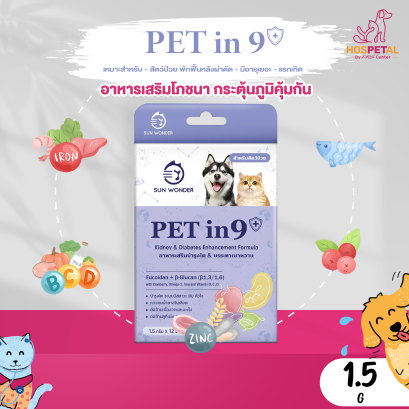 Sun Wonder Pet in 9+ อาหารเสริมชนิดผง สำหรับสุนัขและแมว บำรุงไต และ บรรเทาเบาหวาน 1 กล่องมี 12 ซอง