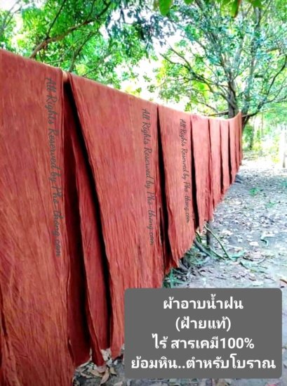 ผ้าโขมพัสตร์ (ผ้าวัสสิกสาฎก)  สีพระราชทาน-สีวัดป่า (ขนาด 2.50 ม.)(copy)(copy)