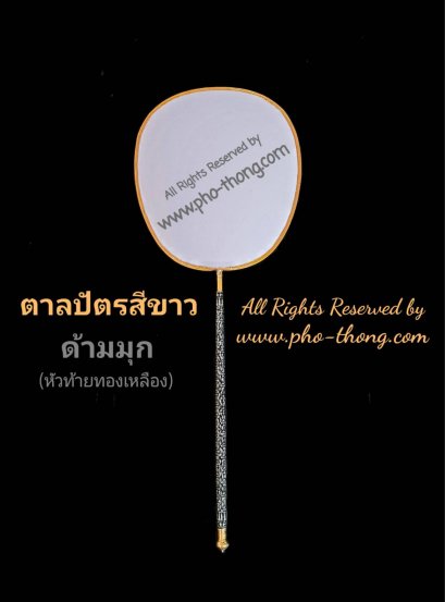 ตาลปัตรนักธรรมเอก (ปัก2หน้า)(copy)(copy)