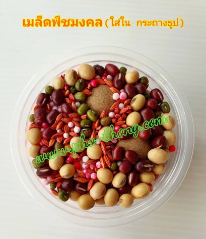 น้ำอบปรุงเจ้าคุณ (หัวเสปรย์)(copy)(copy)(copy)(copy)(copy)(copy)(copy)(copy)