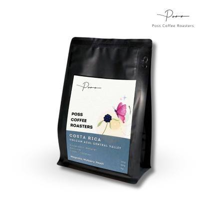 Costa Rica Volcan Azul Central Valley