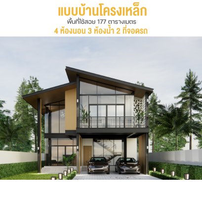 steel frame house model