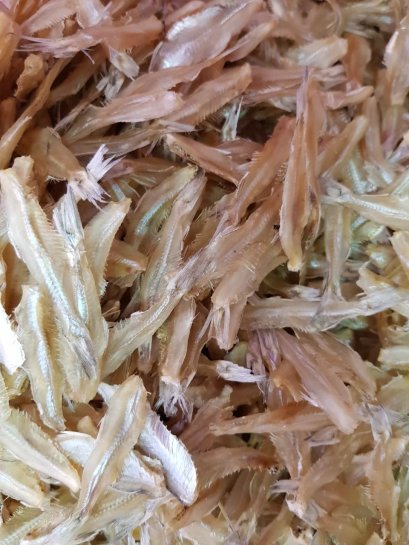 ปลาปักกัง