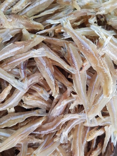 ปลาไส้ตัน