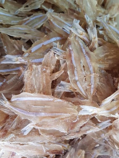 ปลาแก้ว