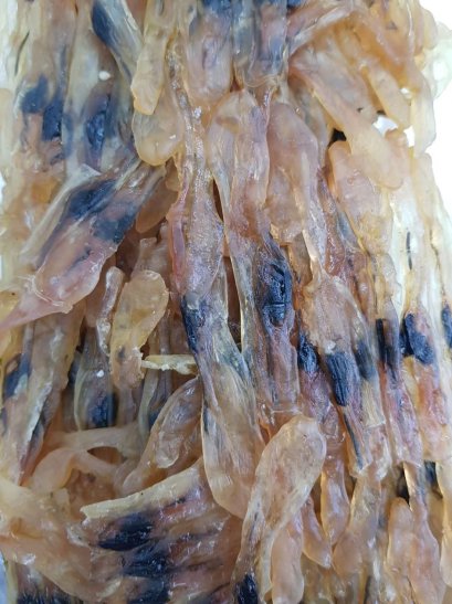 หอยหลอด