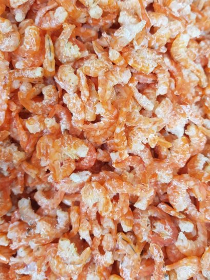 กุ้งวังเล็ก