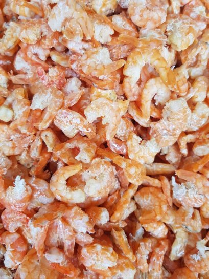 กุ้งวังใหญ่