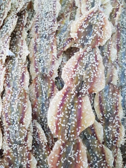 ปลาข้างเหลืองงา