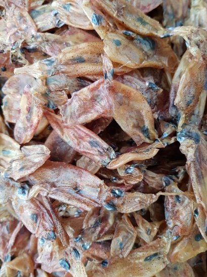 กระตอยไดร์     (3 กิโลกรัม)