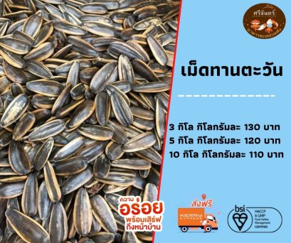 เม็ดทานตะวัน (10 กิโลกรัม)