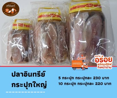 ปลาอินทรีย์ใหญ่ (10 กระปุก)
