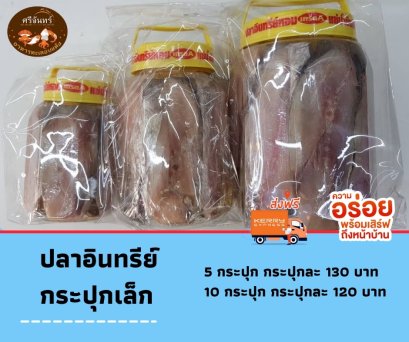 ปลาอินทรีย์เล็ก (10 กระปุก)