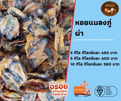 หอยหลอด (3 กิโลกรัม)