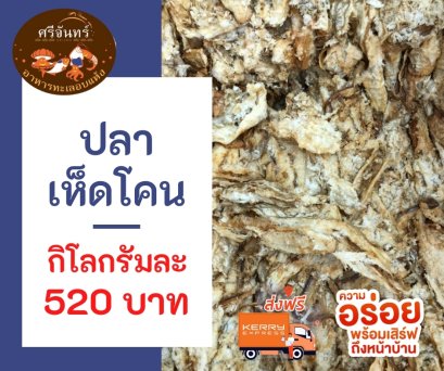 ปลาเห็ดโคน