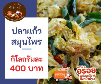 ปลาแก้วสมุนไพร