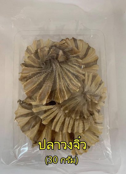 ปลาวง (แพ็คเล็ก)