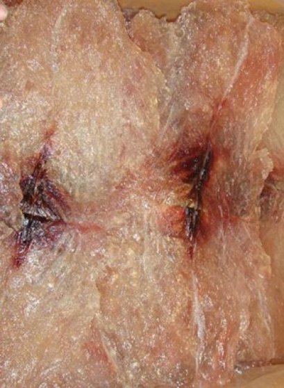 ปลาริวกิวหวาน (แบบแผ่น)