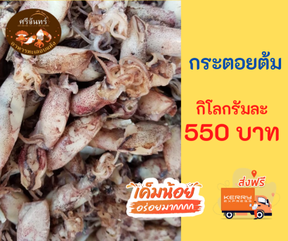 ปลาหมึกกระตอยต้ม