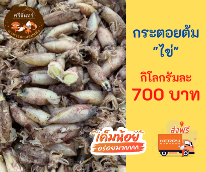 ปลาหมึกกระตอยต้มไข่