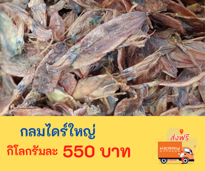 หมึกกลมไดร์ (ใหญ่)
