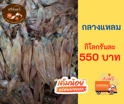 ปลาหมึกกลางแหลม