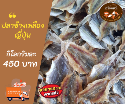 ปลาข้างเหลืองญี่ปุ่น